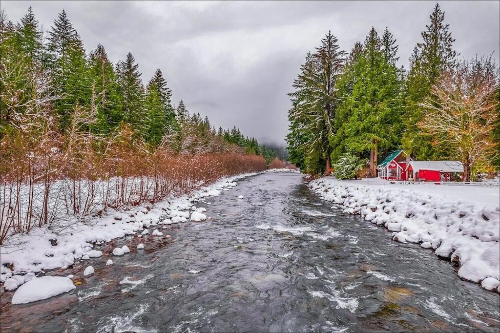 New: Steps From White River Near Mount Rainier National Park Greenwater Dış mekan fotoğraf
