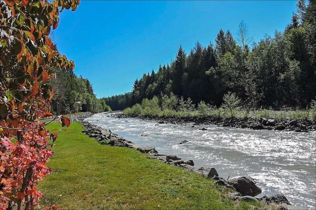 New: Steps From White River Near Mount Rainier National Park Greenwater Dış mekan fotoğraf